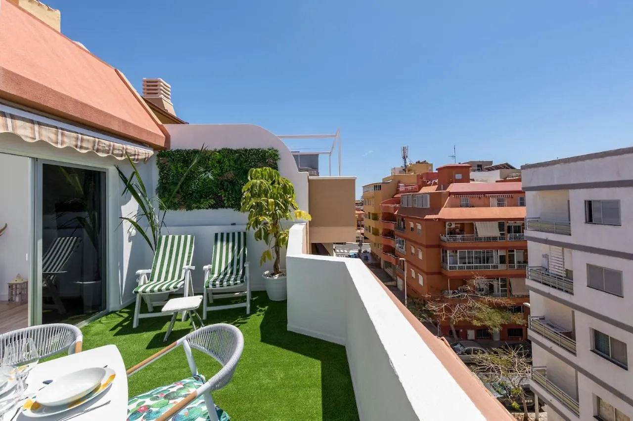 Medano4You The Jungle Terrace El Medano  Apartment El Medano (Tenerife)