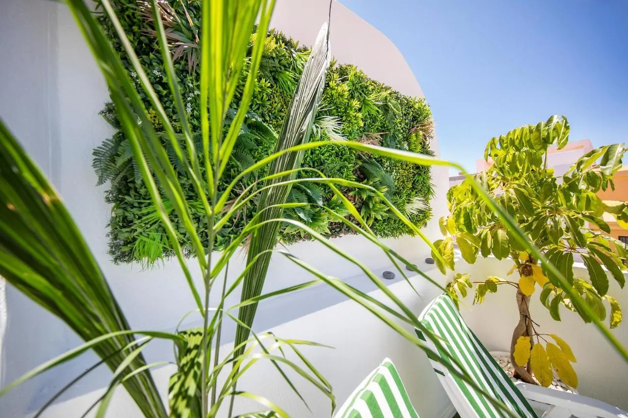 Medano4You The Jungle Terrace El Medano  Apartment